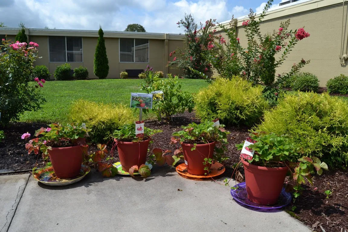 Healing Garden Photo Tour