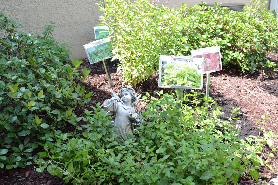 Healing Garden Photo Tour