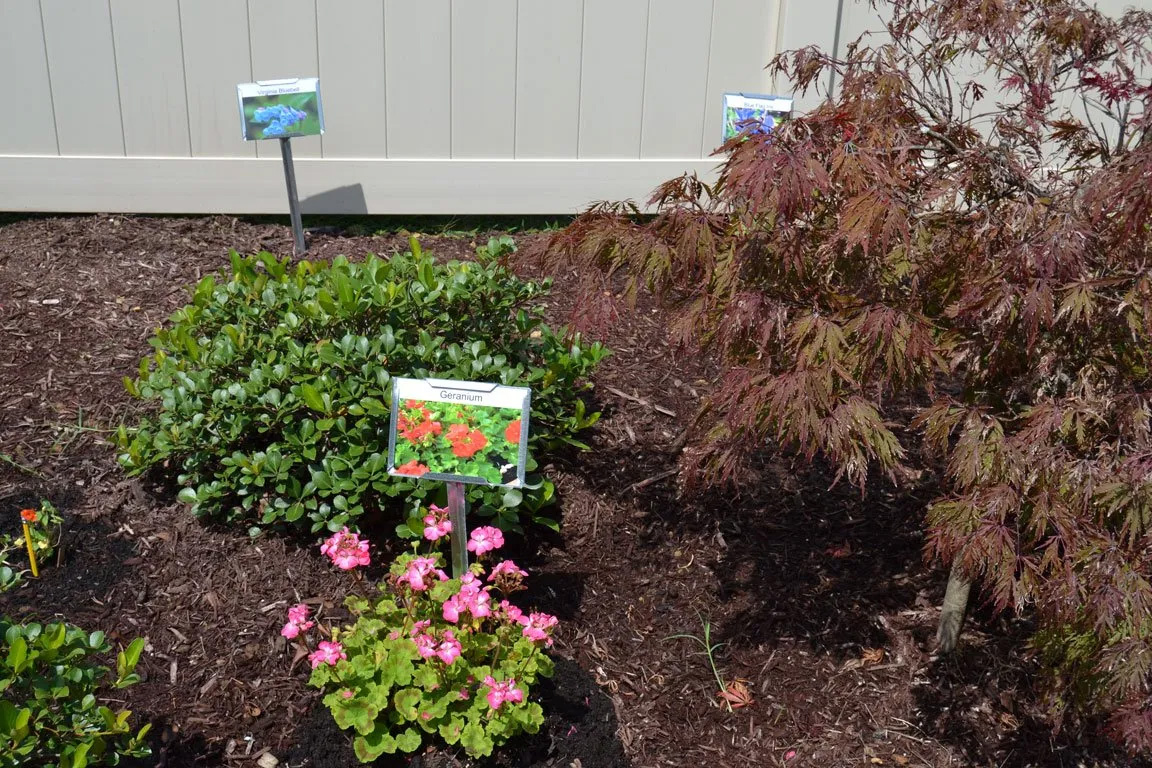 Healing Garden Photo Tour